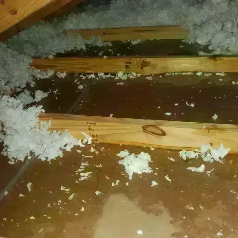 Attic Water Damage in Terryville, CT